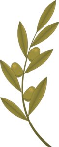 extending the olive branch
