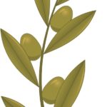 extending the olive branch