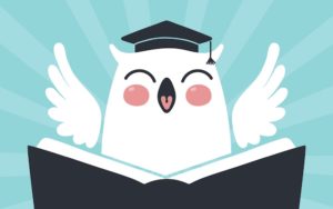 where do the night owls play