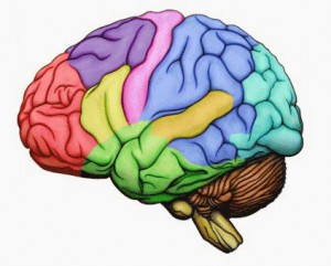 every brain is unique