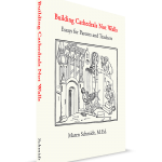 building cathedrals not walls