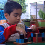 montessori newsletter