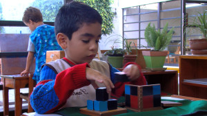 montessori newsletter