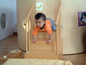 human potential begins at birth