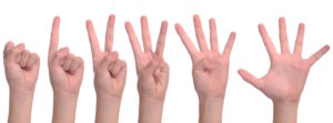 hand language development