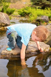 secrets of observation