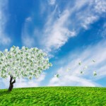 nurturing the entrepreneurial spirit