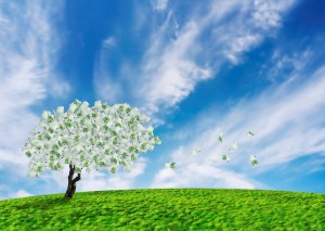 nurturing the entrepreneurial spirit