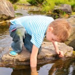 teaching transcendence