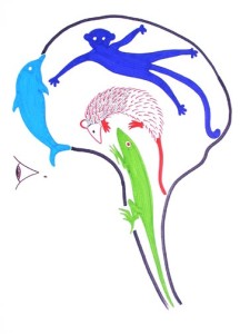 quadrune-2