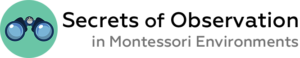 Montessori teacher workshop observation