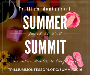 Montessori Summer Summit