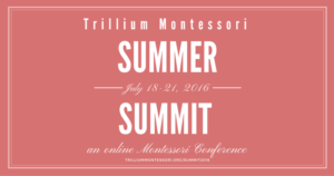 Tillium Montessori Summer Summit