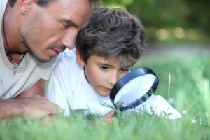 how to become a better observer