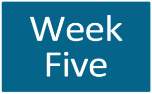 Week Five