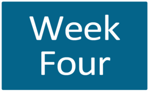 Week Four