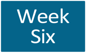 Week Six
