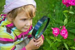 how to become a better observer