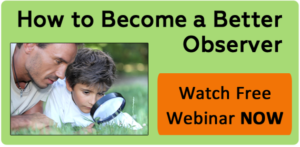 How To Become A Better Observer