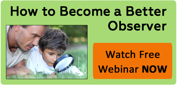 How To Become A Better Observer