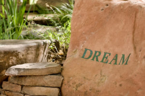 Creating Your DREAM Community