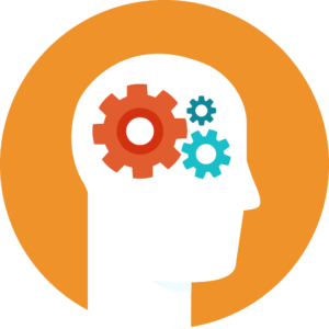 The Brain Series